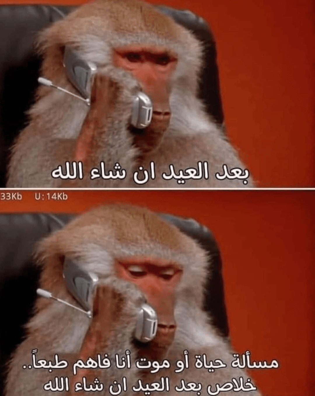 الرد الأكثر انتشارًا في رمضان